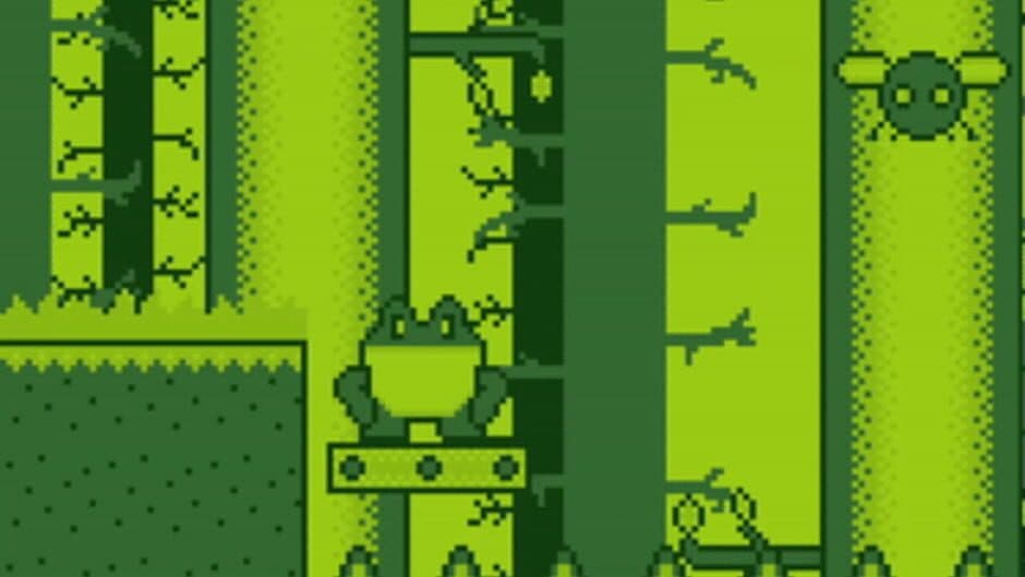 Скриншот 2 из Froggy Quest