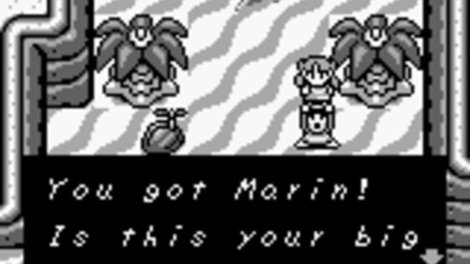 Скриншот 3 из The Legend of Zelda: Link's Awakening