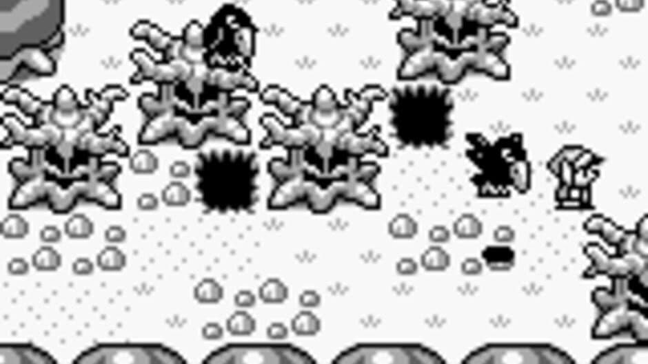 Скриншот 7 из The Legend of Zelda: Link's Awakening