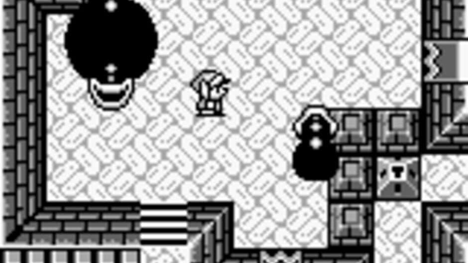Скриншот 8 из The Legend of Zelda: Link's Awakening