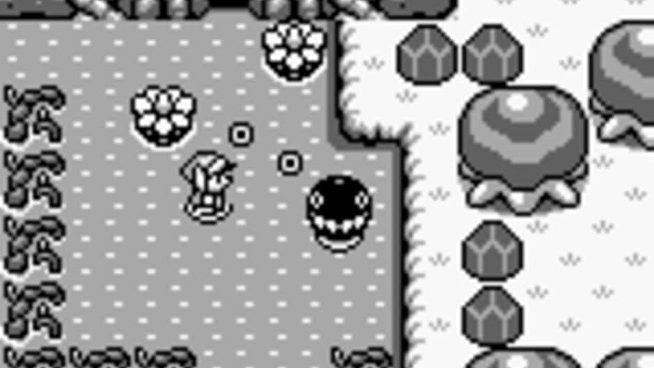 Скриншот 2 из The Legend of Zelda: Link's Awakening
