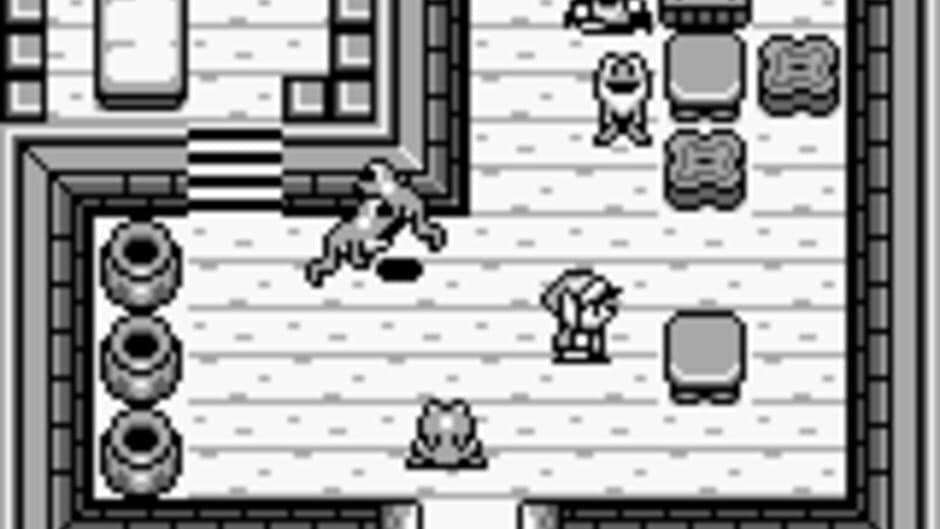 Скриншот 5 из The Legend of Zelda: Link's Awakening
