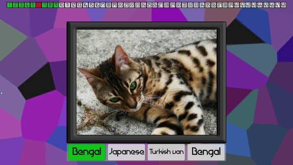 Скриншот 2 из Test Your Knowledge: Cats