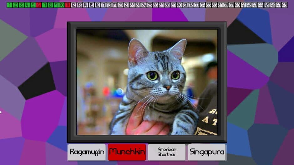 Скриншот 1 из Test Your Knowledge: Cats