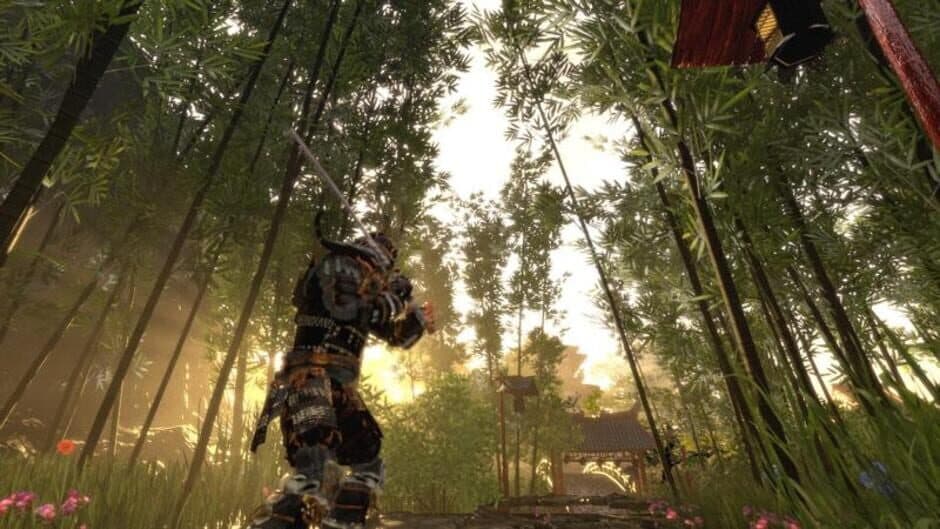 Скриншот 1 из Shadow the Ronin: The Revenge to the Samurai