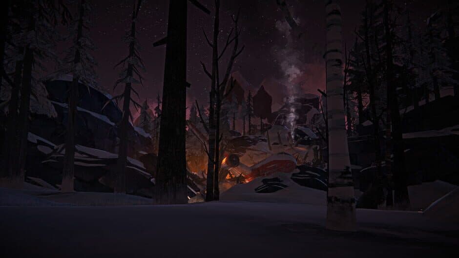Скриншот 4 из The Long Dark: Wintermute