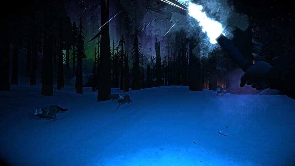 Скриншот 6 из The Long Dark: Wintermute