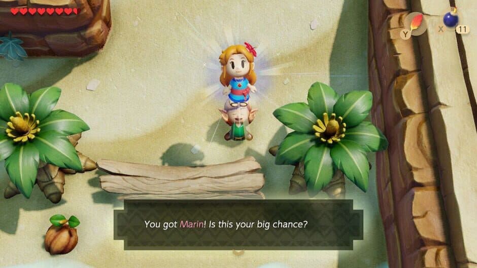 Скриншот 5 из The Legend of Zelda: Link's Awakening