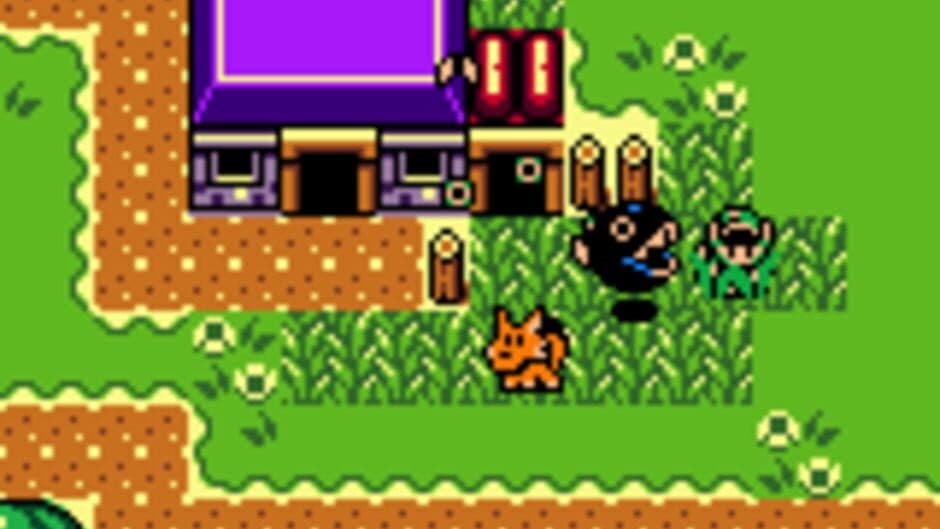 Скриншот 1 из The Legend of Zelda: Link's Awakening DX