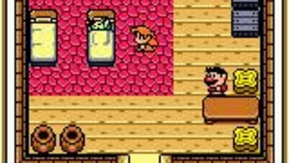 Скриншот 6 из The Legend of Zelda: Link's Awakening DX