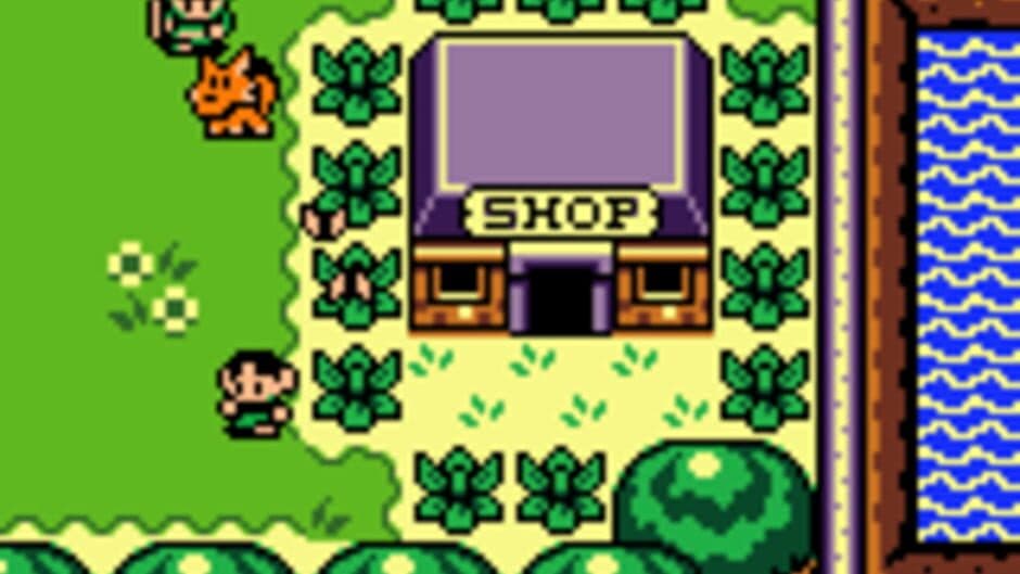 Скриншот 3 из The Legend of Zelda: Link's Awakening DX