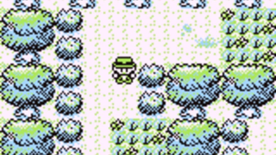 Скриншот 3 из Pokémon Factory Adventure