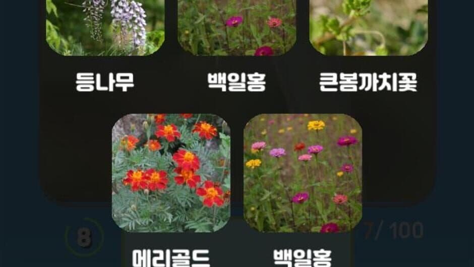 Скриншот 5 из Korean Flower Name Game