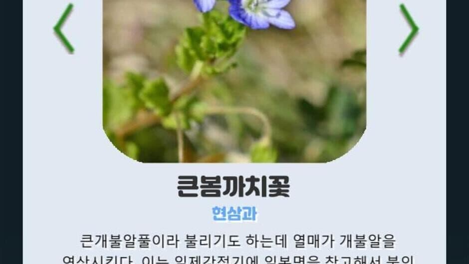 Скриншот 4 из Korean Flower Name Game