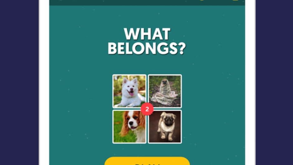 Скриншот 1 из What Belongs?Find Hidden Words