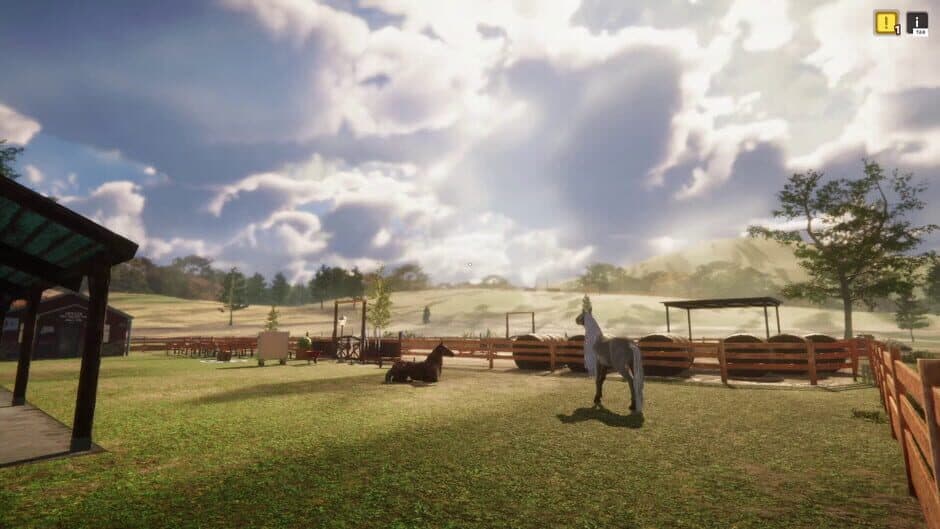Скриншот 12 из Animal Shelter Simulator: Horse Shelter DLC