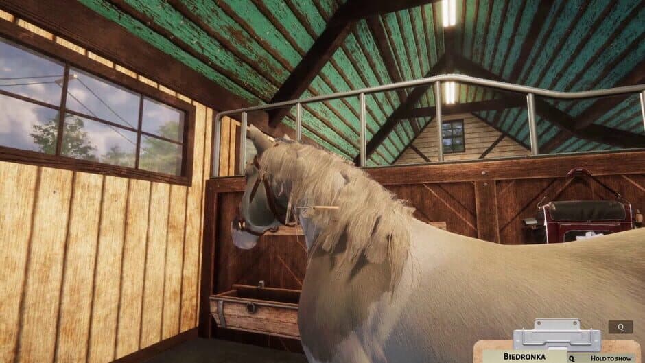 Скриншот 11 из Animal Shelter Simulator: Horse Shelter DLC