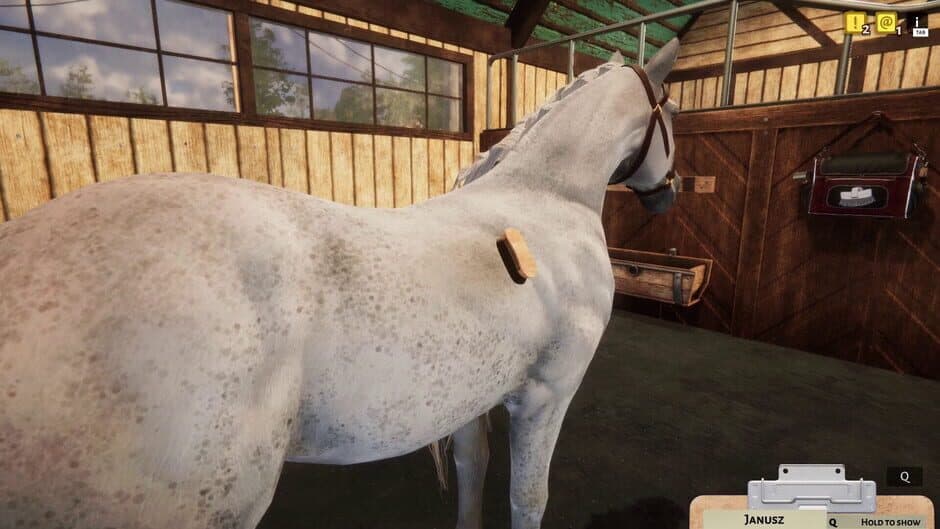 Скриншот 9 из Animal Shelter Simulator: Horse Shelter DLC
