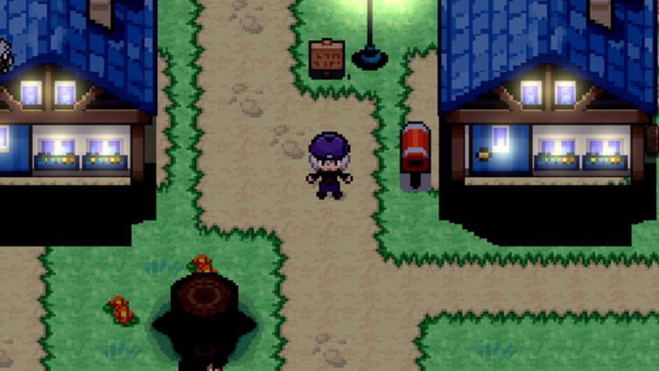 Скриншот 3 из Pokémon Gadir