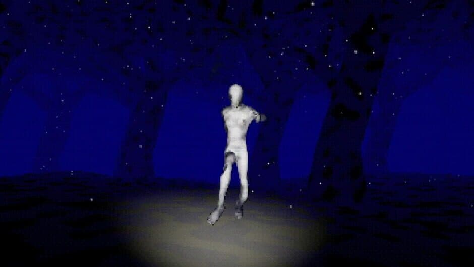Скриншот 2 из Deep in the Snowy Night
