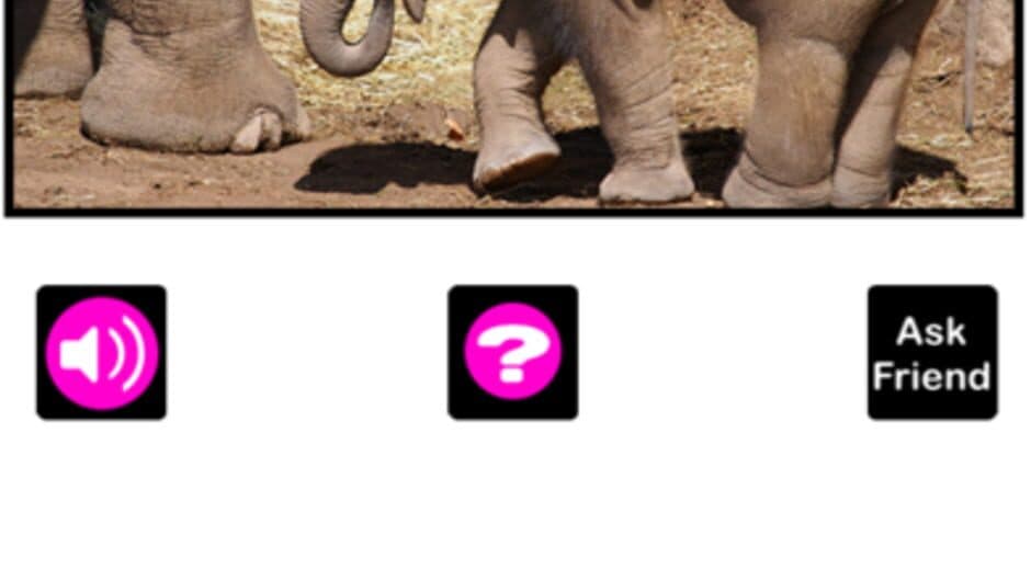 Скриншот 5 из What's the Baby Animal?