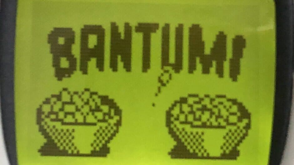 Скриншот 2 из Bantumi