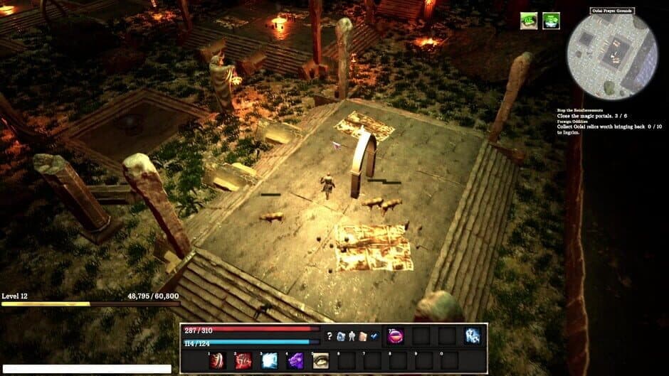 Скриншот 1 из Dungeoneer