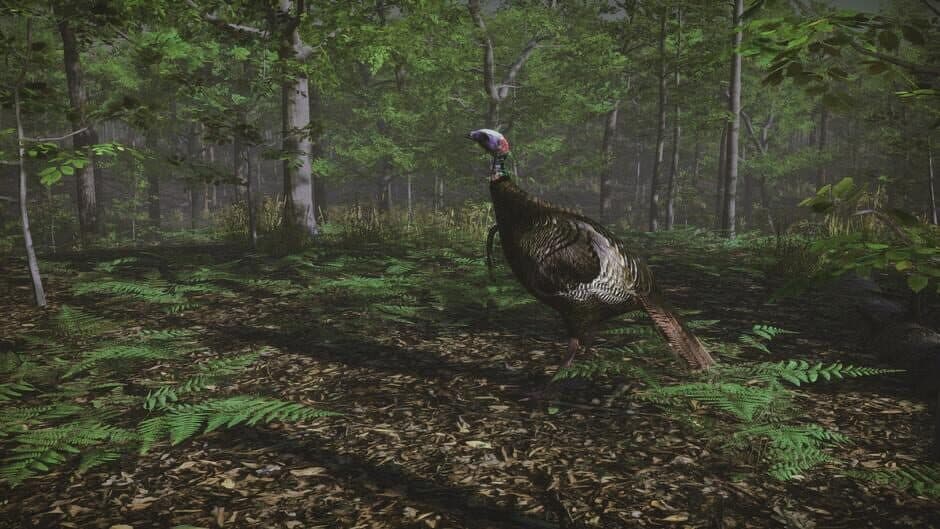 Скриншот 5 из Pro Turkey Hunting