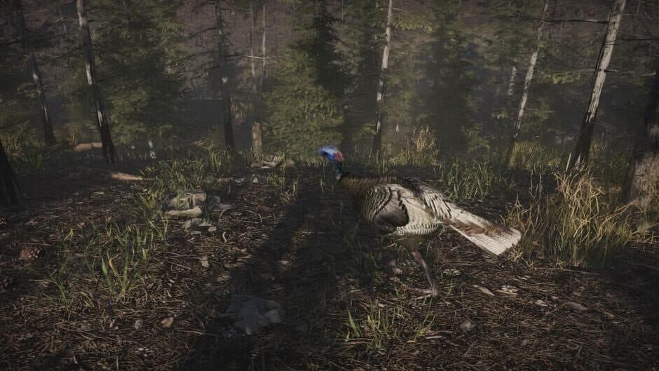 Скриншот 6 из Pro Turkey Hunting