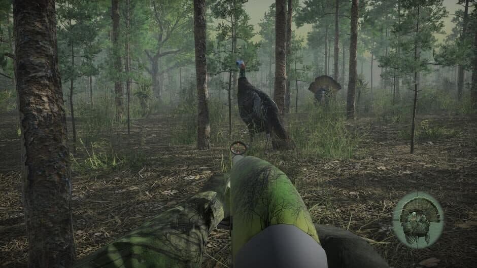 Скриншот 7 из Pro Turkey Hunting