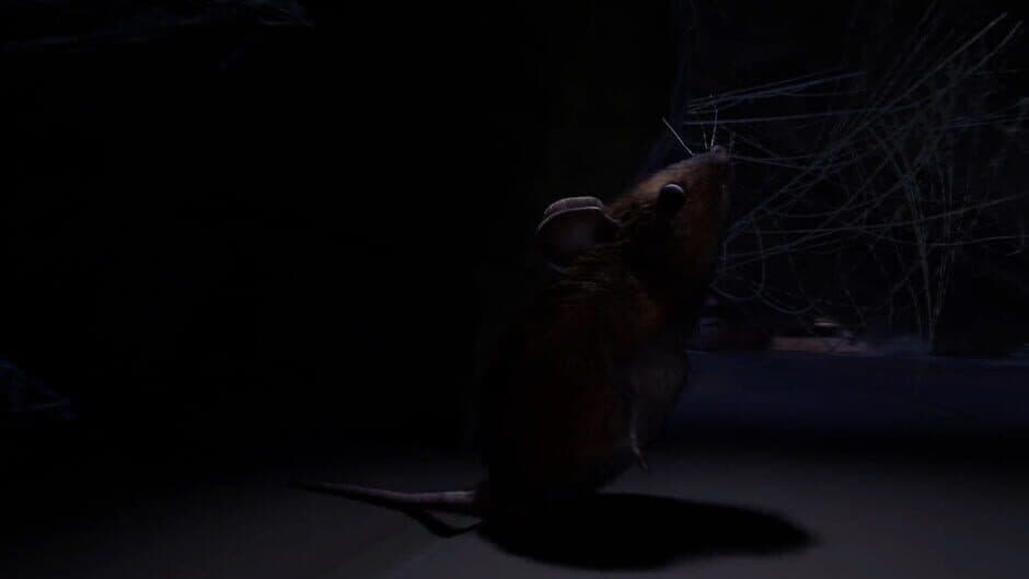 Скриншот 3 из About a Mouse