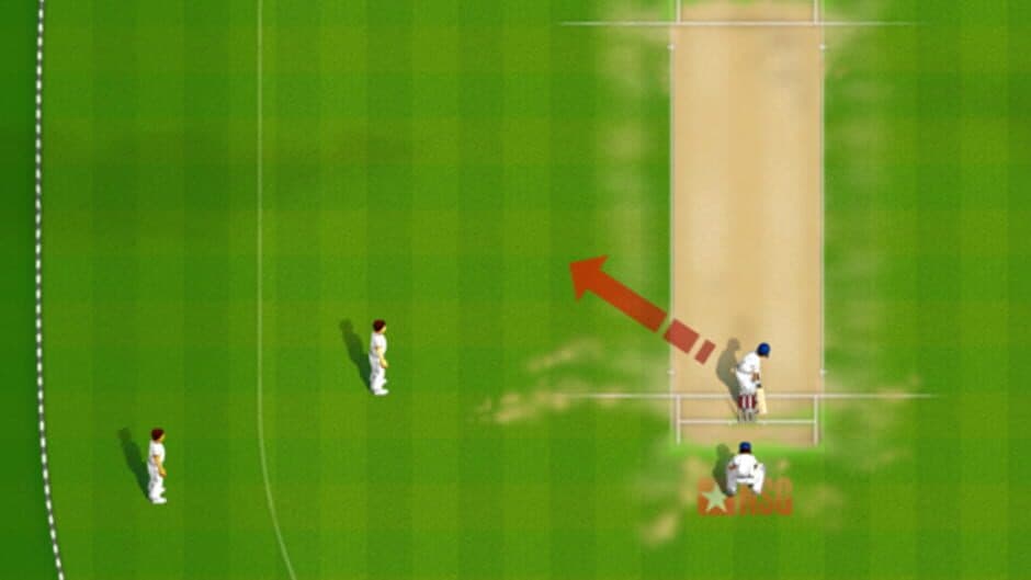 Скриншот 1 из New Star Cricket