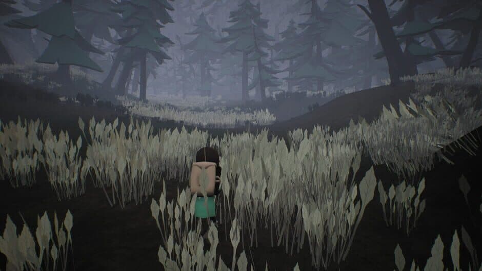 Скриншот 9 из Bound Forest