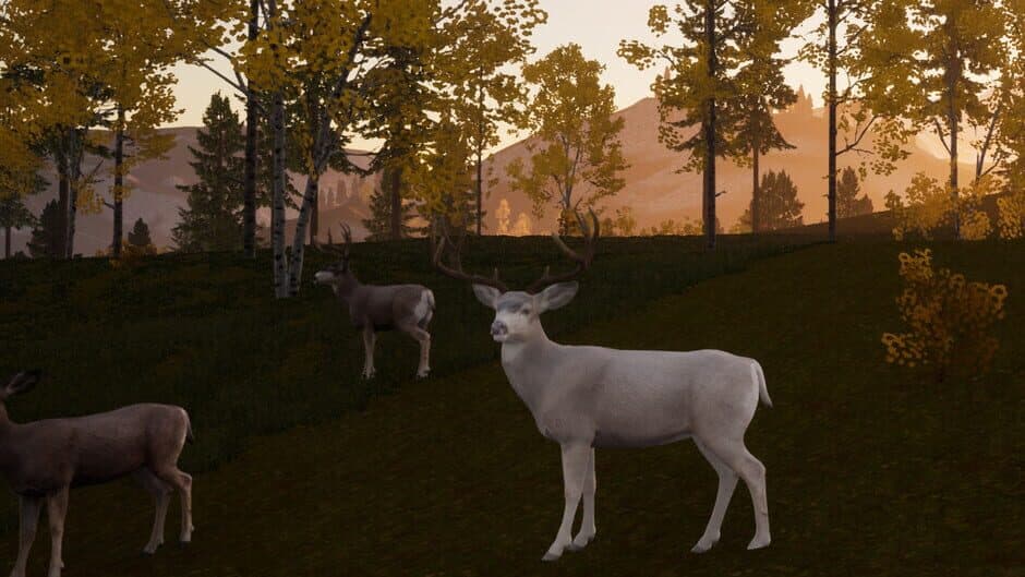 Скриншот 5 из Wilderness Survival: The Conservationist