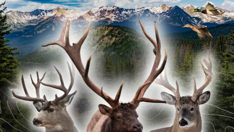 Скриншот 9 из Wilderness Survival: The Conservationist