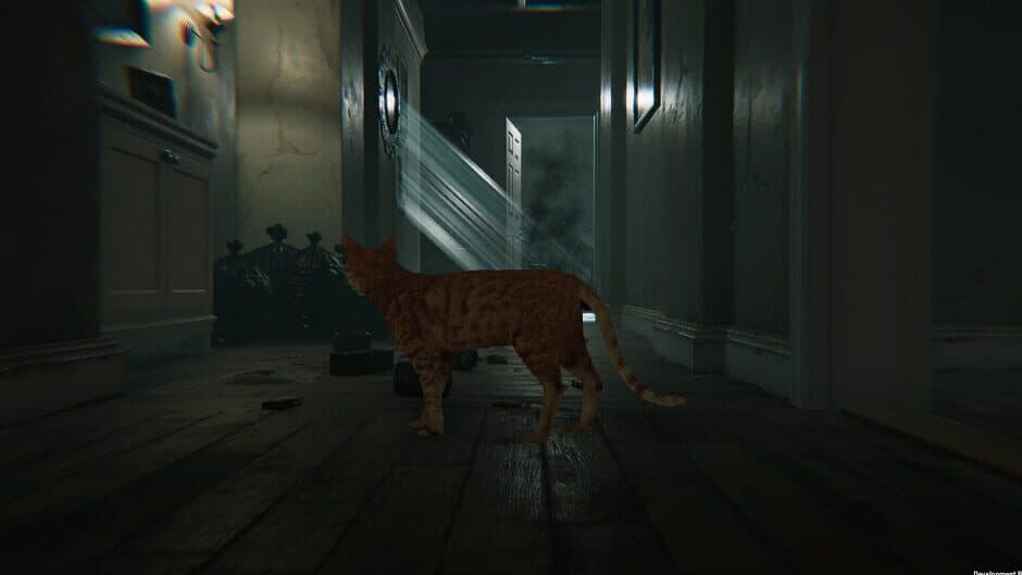 Скриншот 3 из Broken Tails