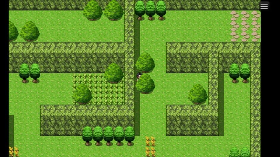 Скриншот 5 из Oak Adventure the Maze