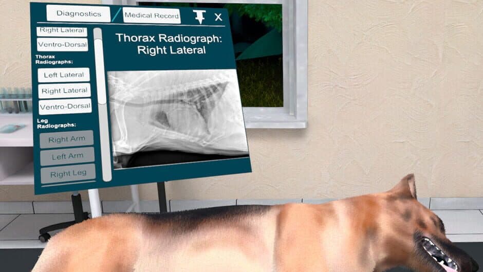 Скриншот 4 из VetVR: Veterinary Simulator