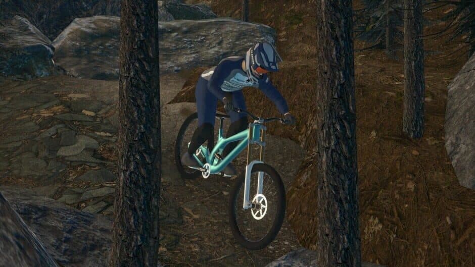 Скриншот 3 из Downhill Pro Racer