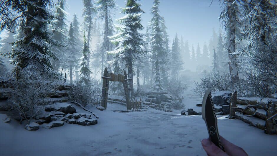 Скриншот 1 из Silence in the Cabin