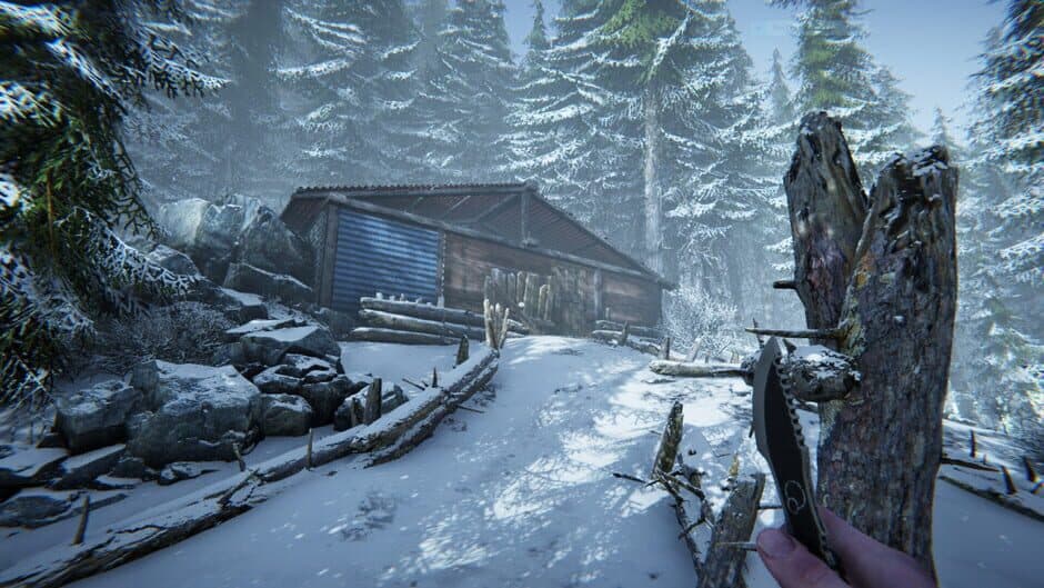Скриншот 4 из Silence in the Cabin