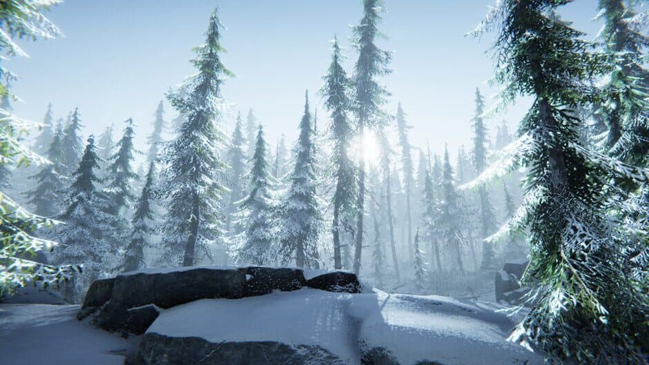 Скриншот 6 из Silence in the Cabin