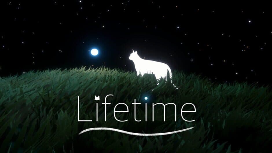 Скриншот 3 из Lifetime
