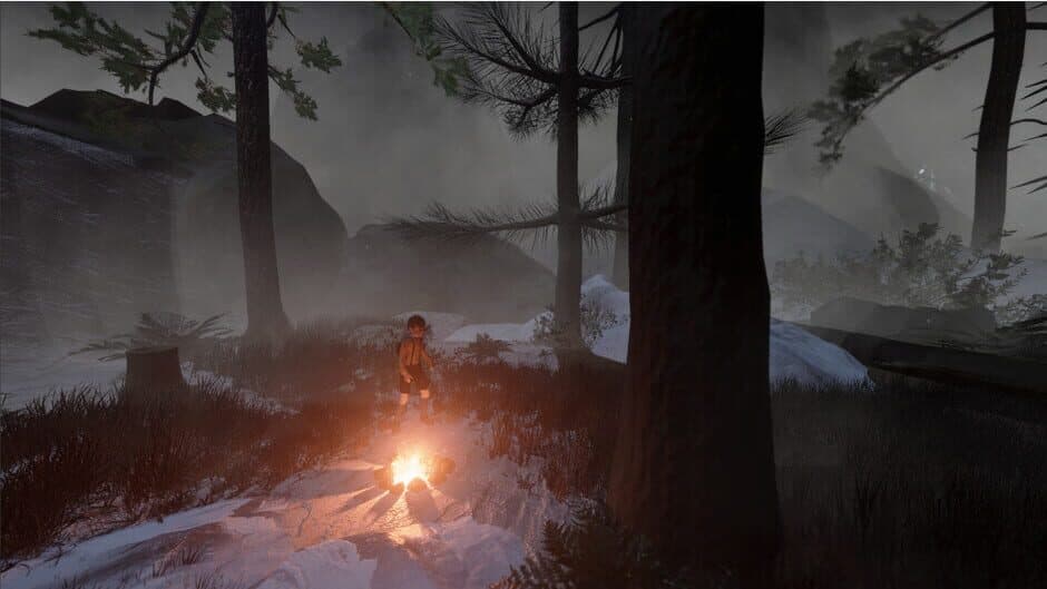 Скриншот 7 из Emil: A Hero's Journey