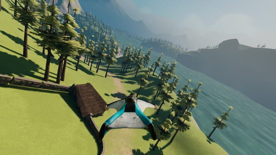 Скриншот 1 из Soar