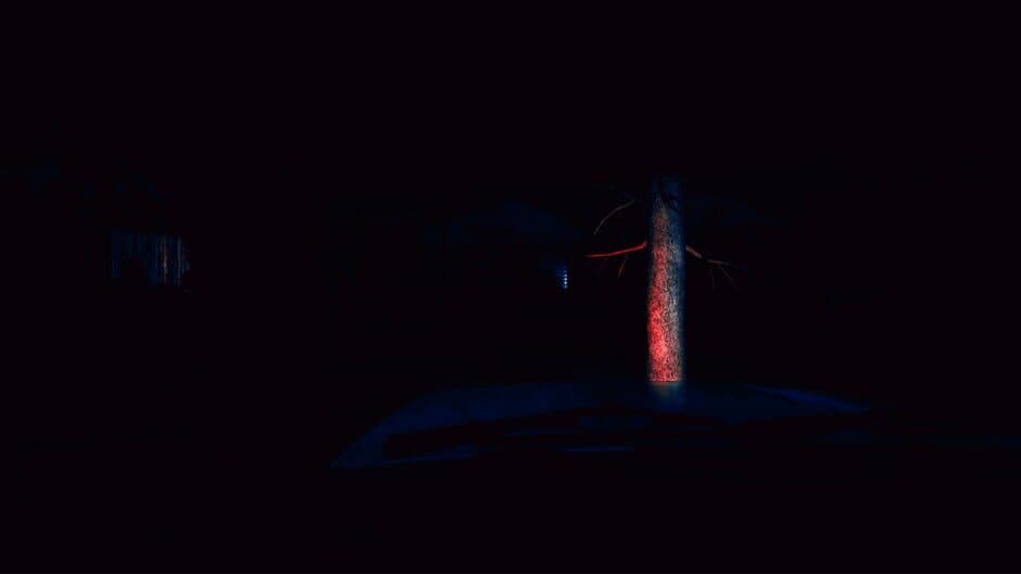 Скриншот 4 из Mental: The Dark Night