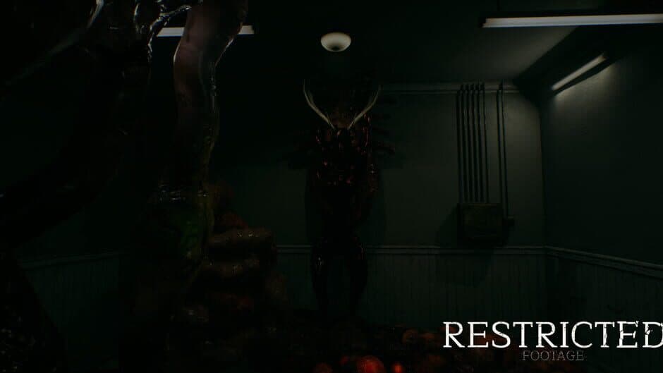 Скриншот 3 из Restricted Footage