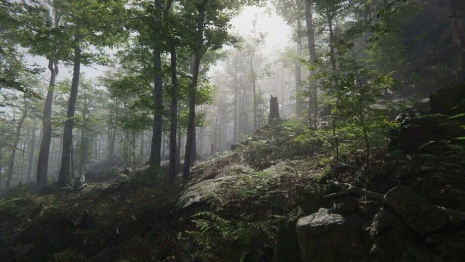 Скриншот 1 из Mushroom Collector Simulator