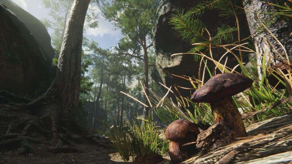 Скриншот 9 из Mushroom Collector Simulator