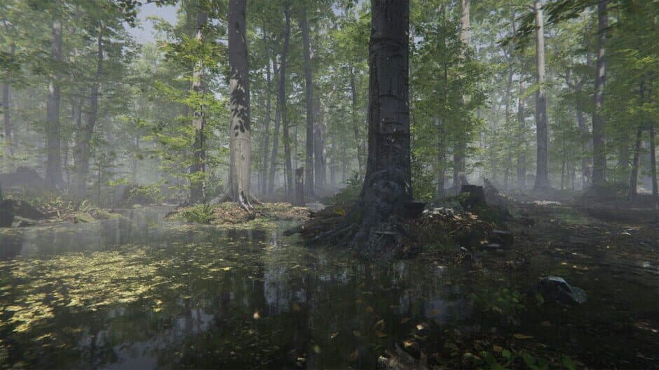 Скриншот 5 из Mushroom Collector Simulator
